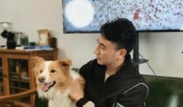 林生斌最新动画片爆料,穿越时空的奇幻冒险之旅